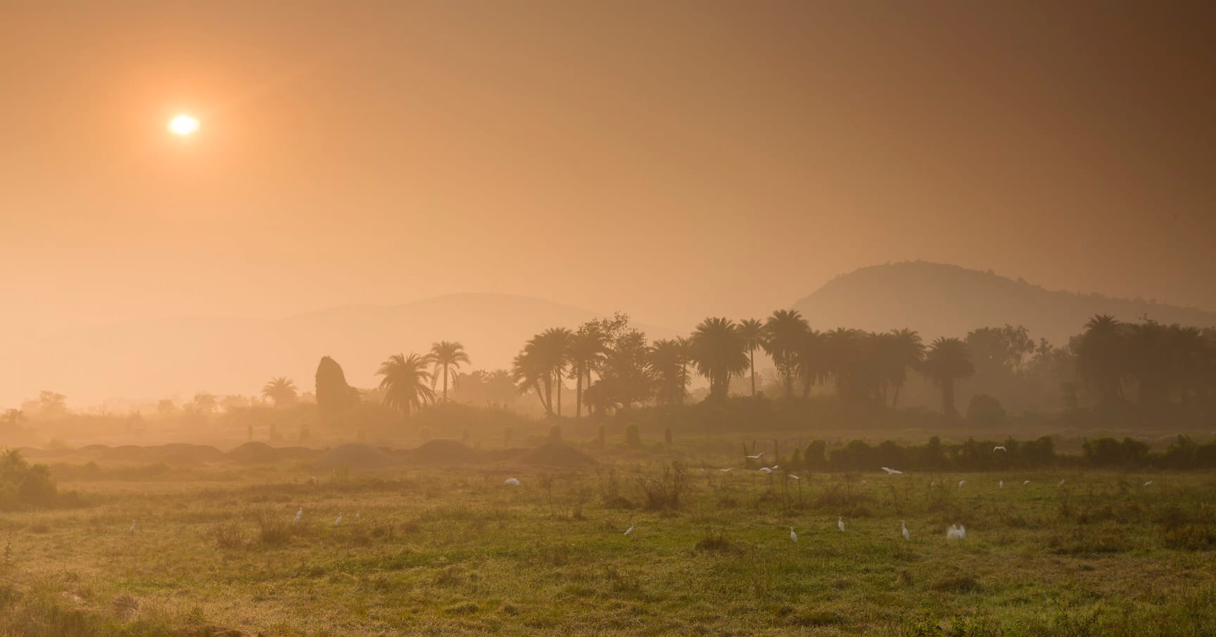 Ländliche Odisha Touren | 18-tägige Stammes- und Kulturerbe-Erfahrung